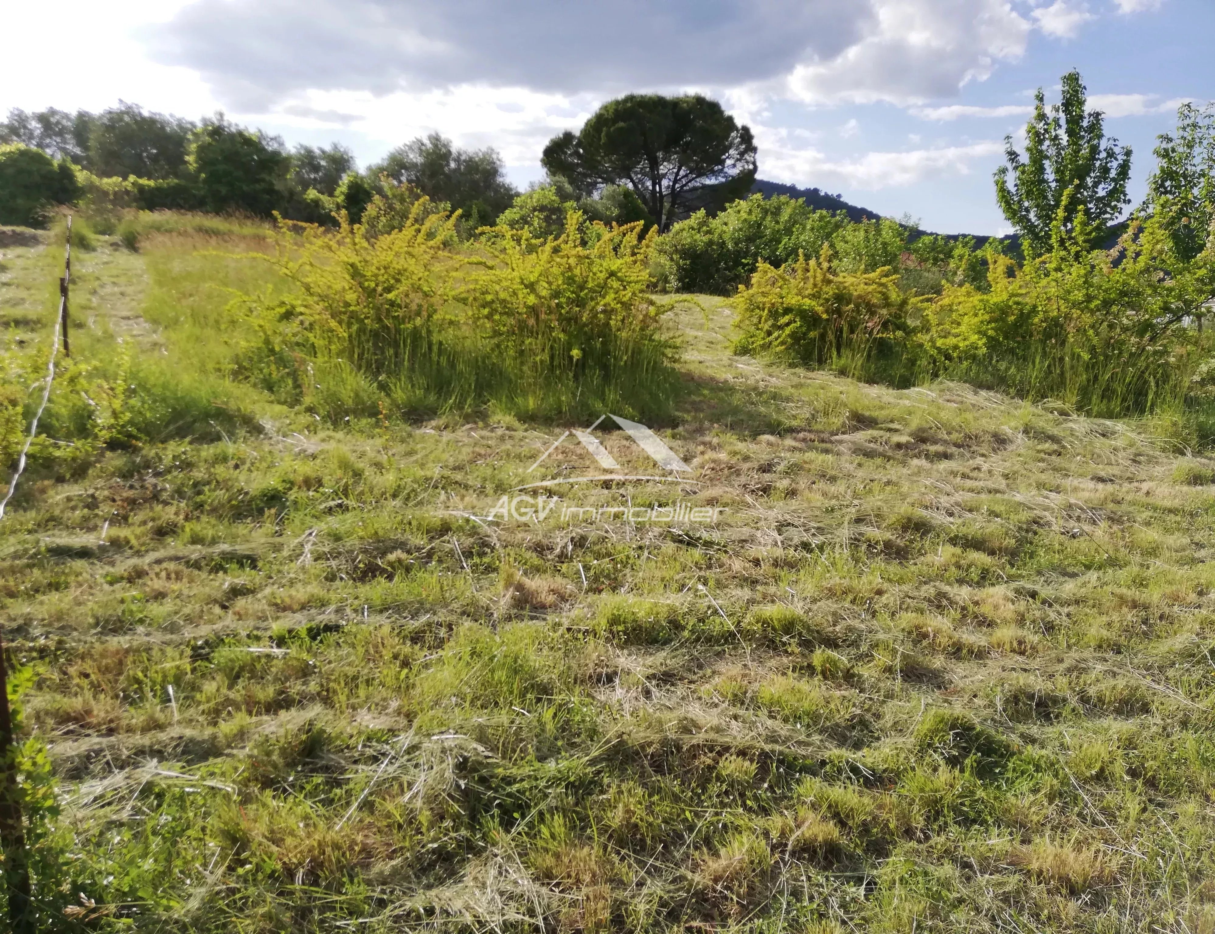 Agence immobilière de AGV IMMOBILIER