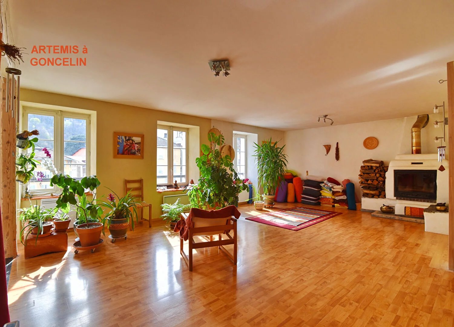 Vente Appartement Allevard
