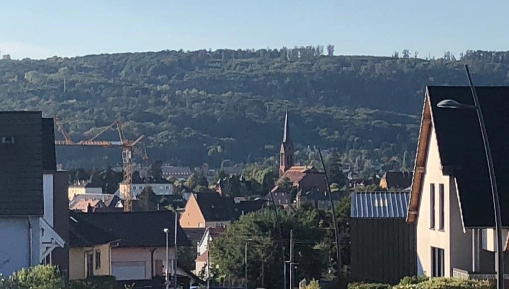 Agence immobilière de DB CONSULTANTS