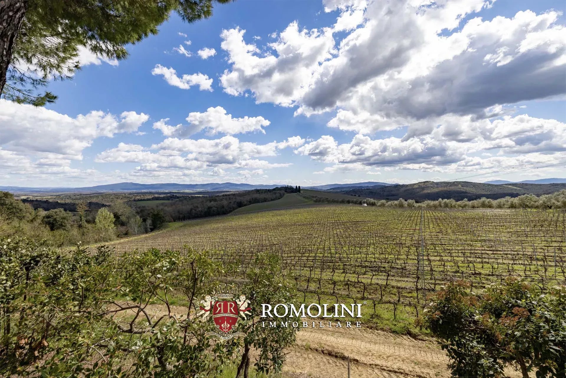 35 Bedroom Vineyard's Image 92