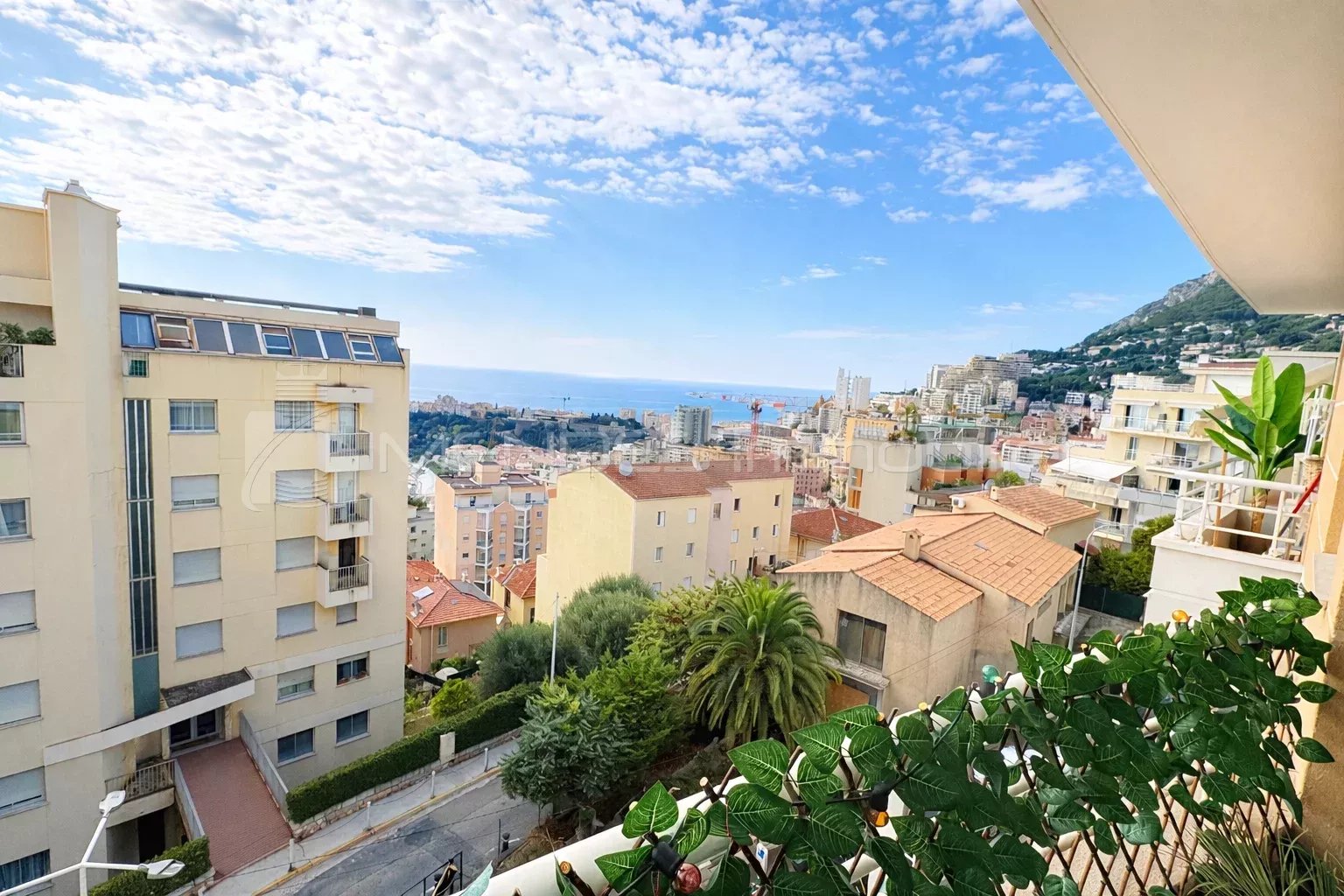 Agence immobilière de NP IMMO