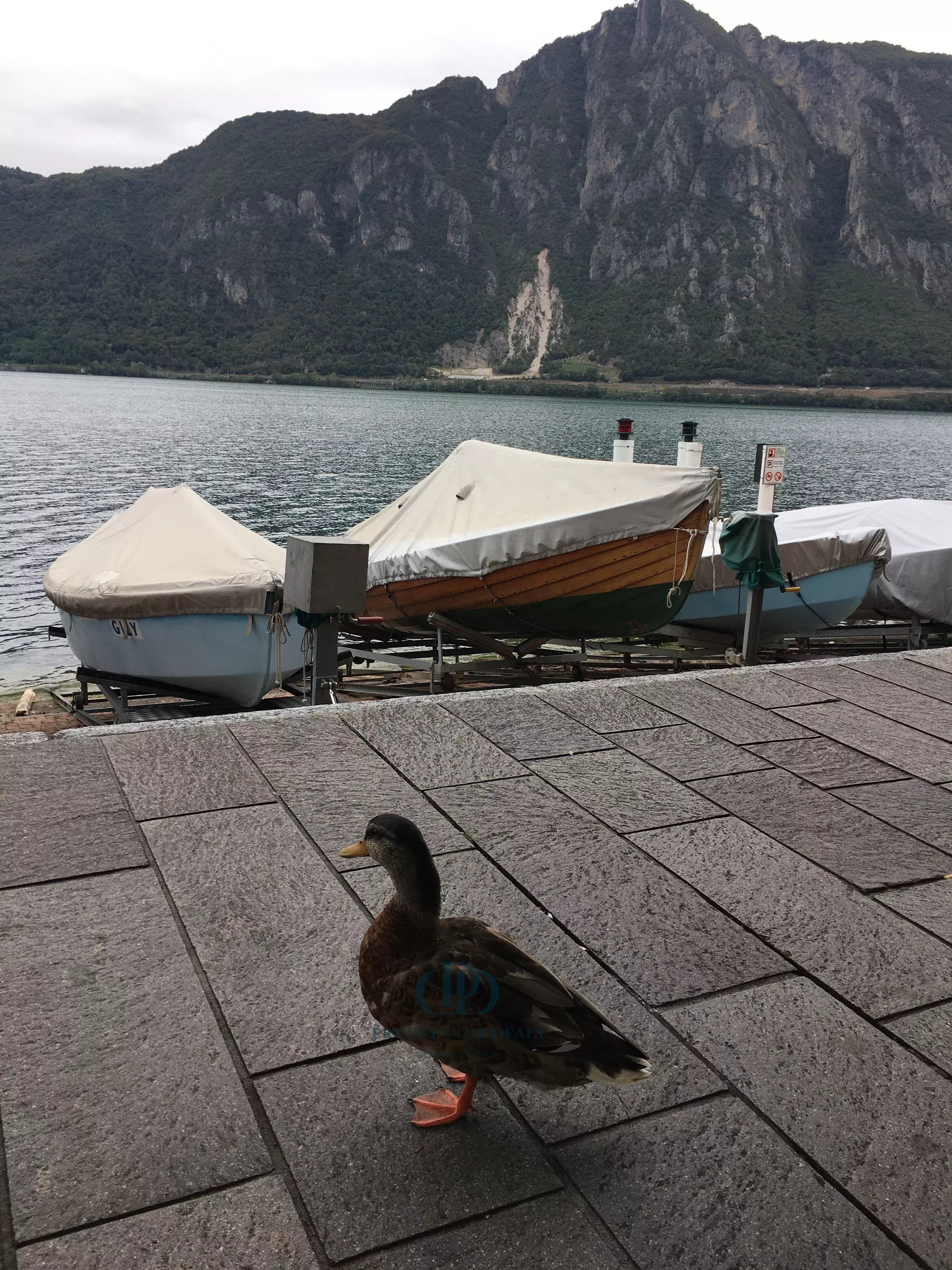 Daire Campione d'Italia