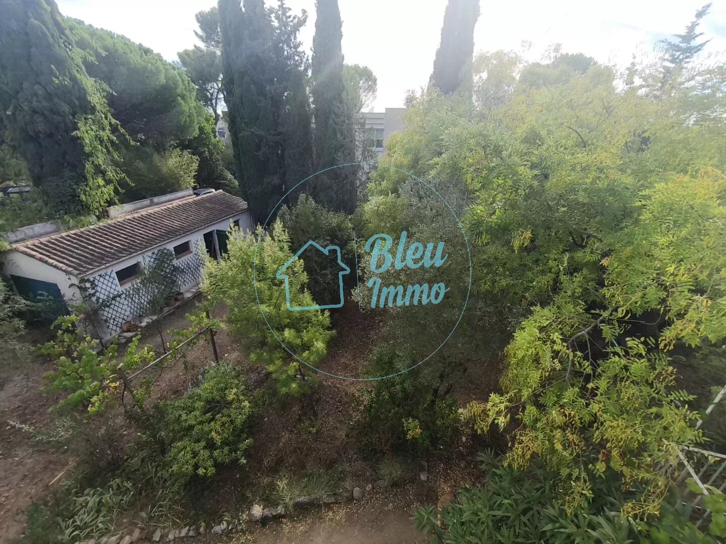 Agence immobilière de Bleu Immo