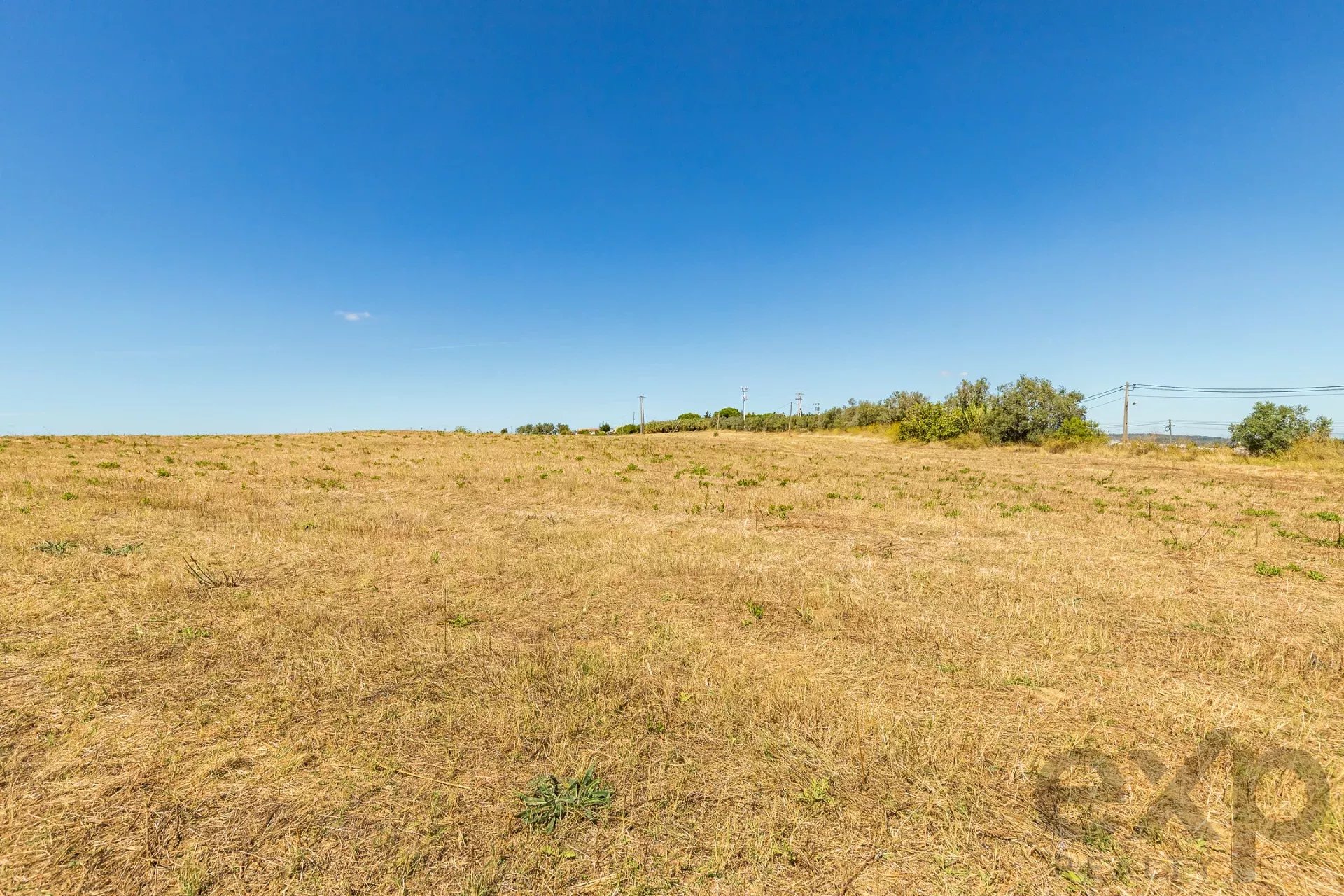 Land with Tagus view 86176491 image 9
