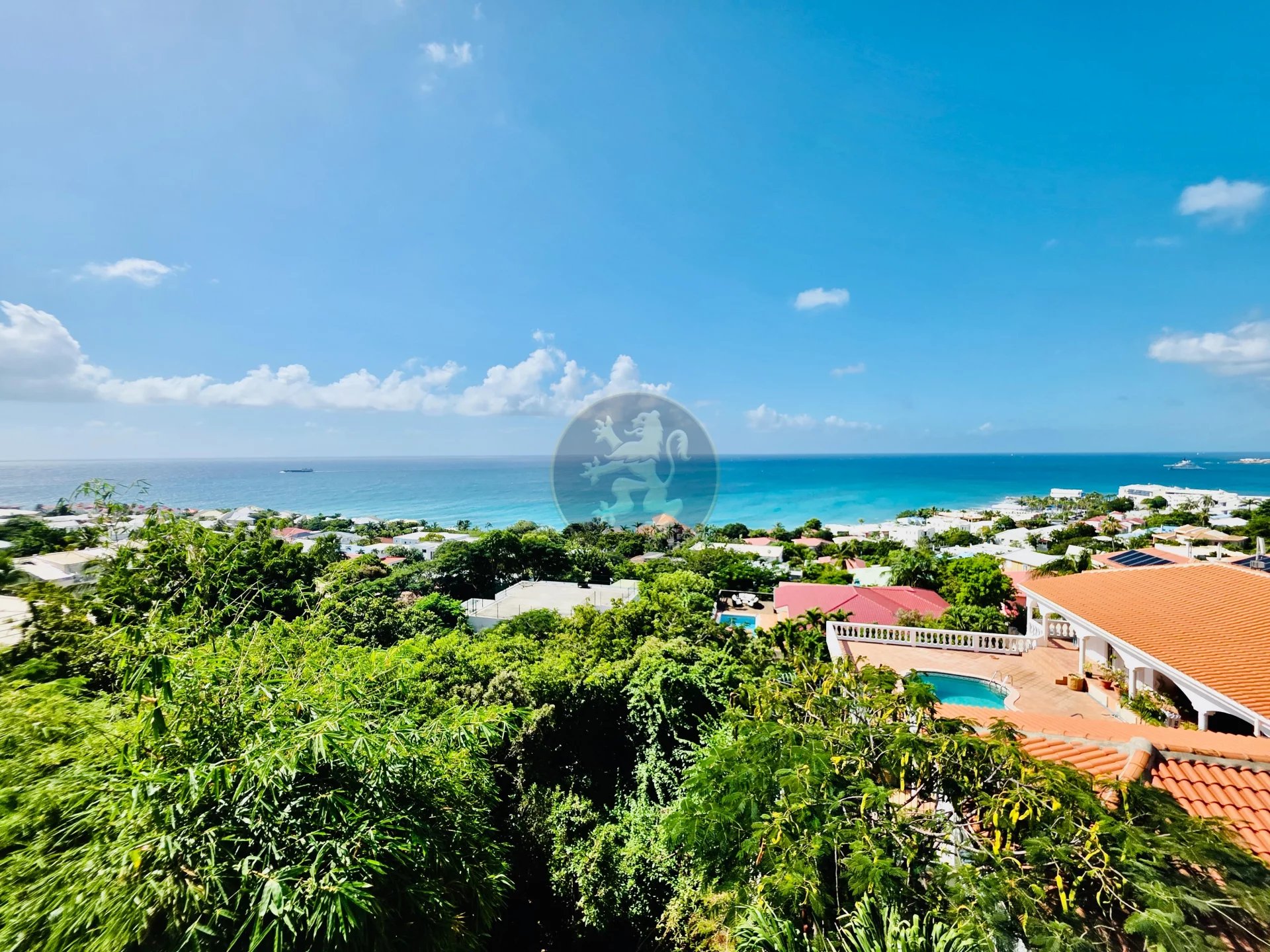 Agence immobilière de Lion Crest Realty