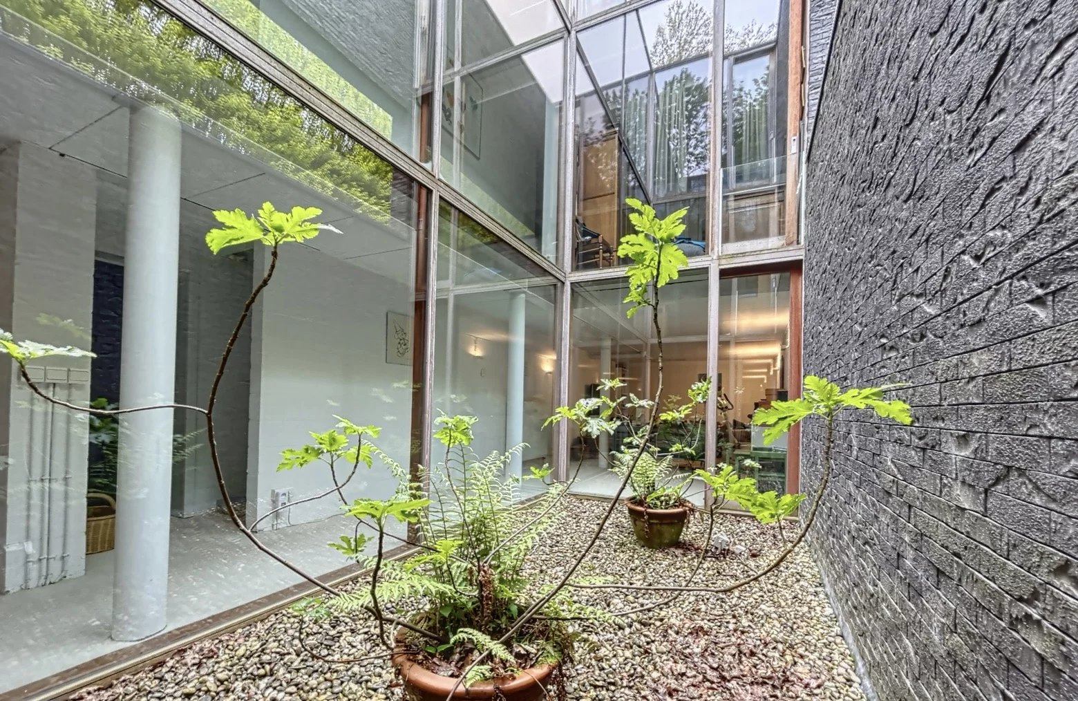 Ev Uccle - picture 7