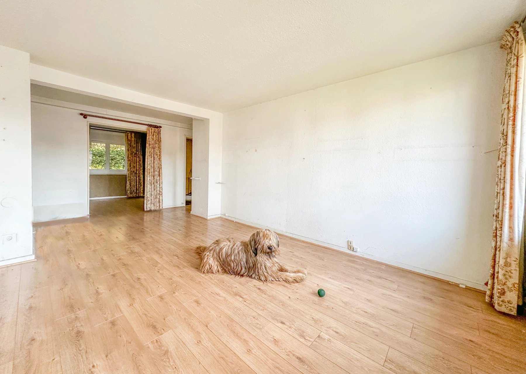 Agence immobilière de Immo Lod's