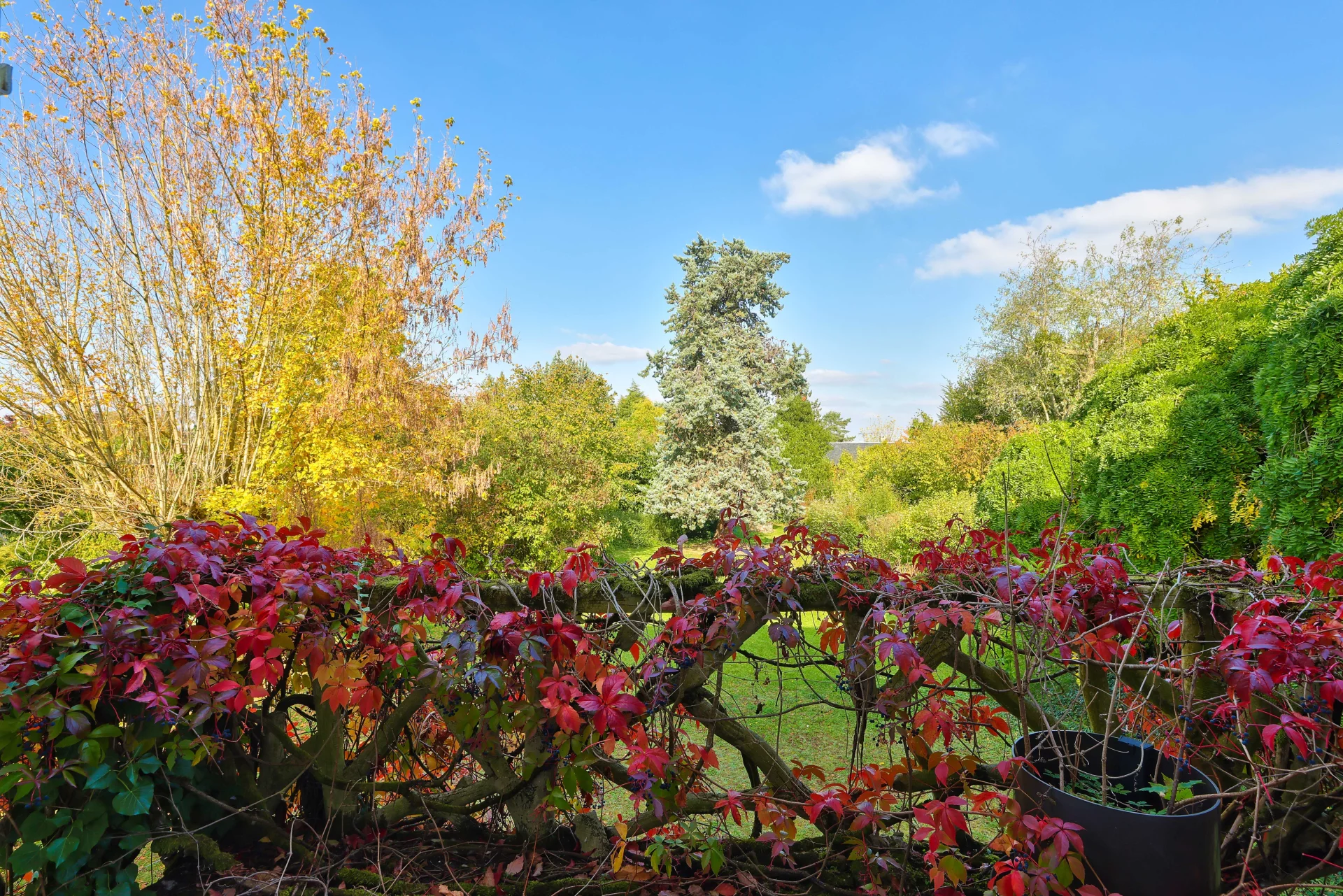 Rueil-Malmaison - BUZENVAL