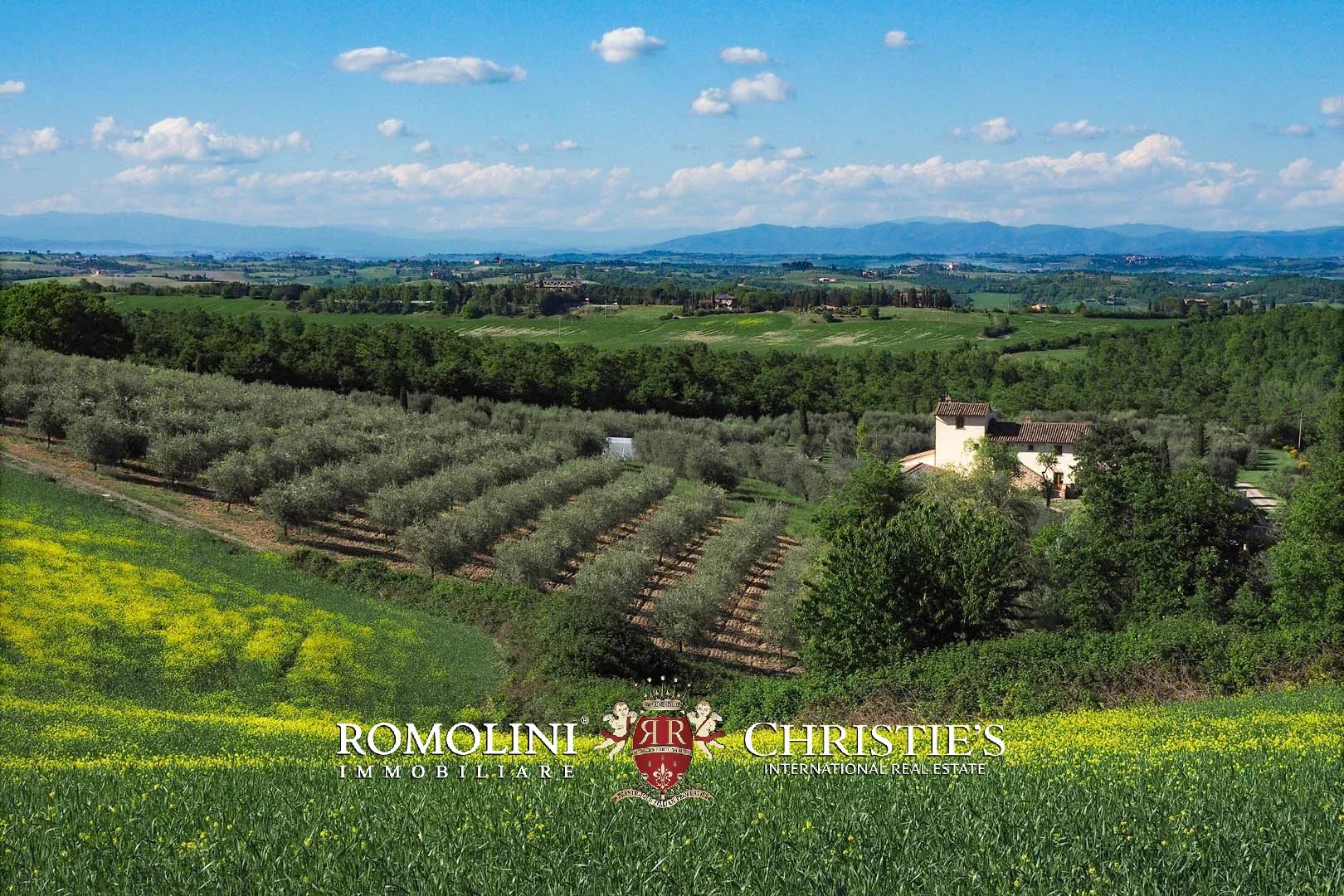 15 Bedroom Vineyard's Image 16