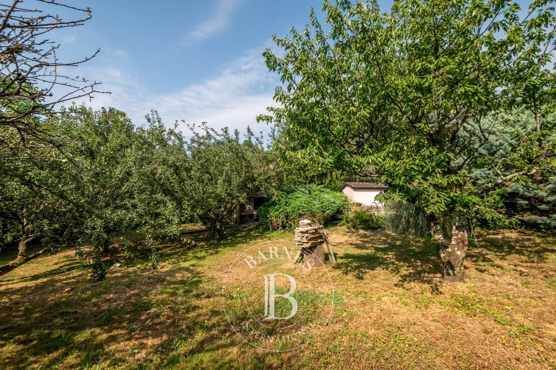 Ev Saint-Cyr-au-Mont-d'Or - picture 7