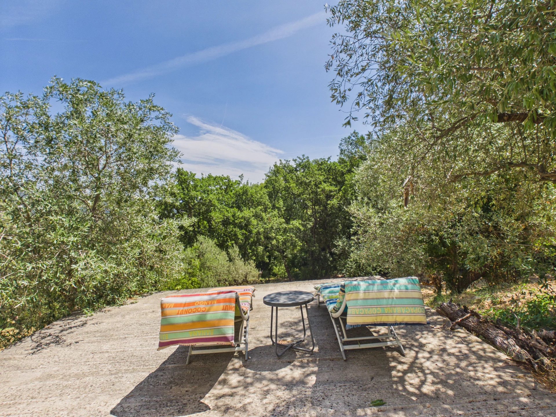 House with a view walking distance to the village - Seillans
