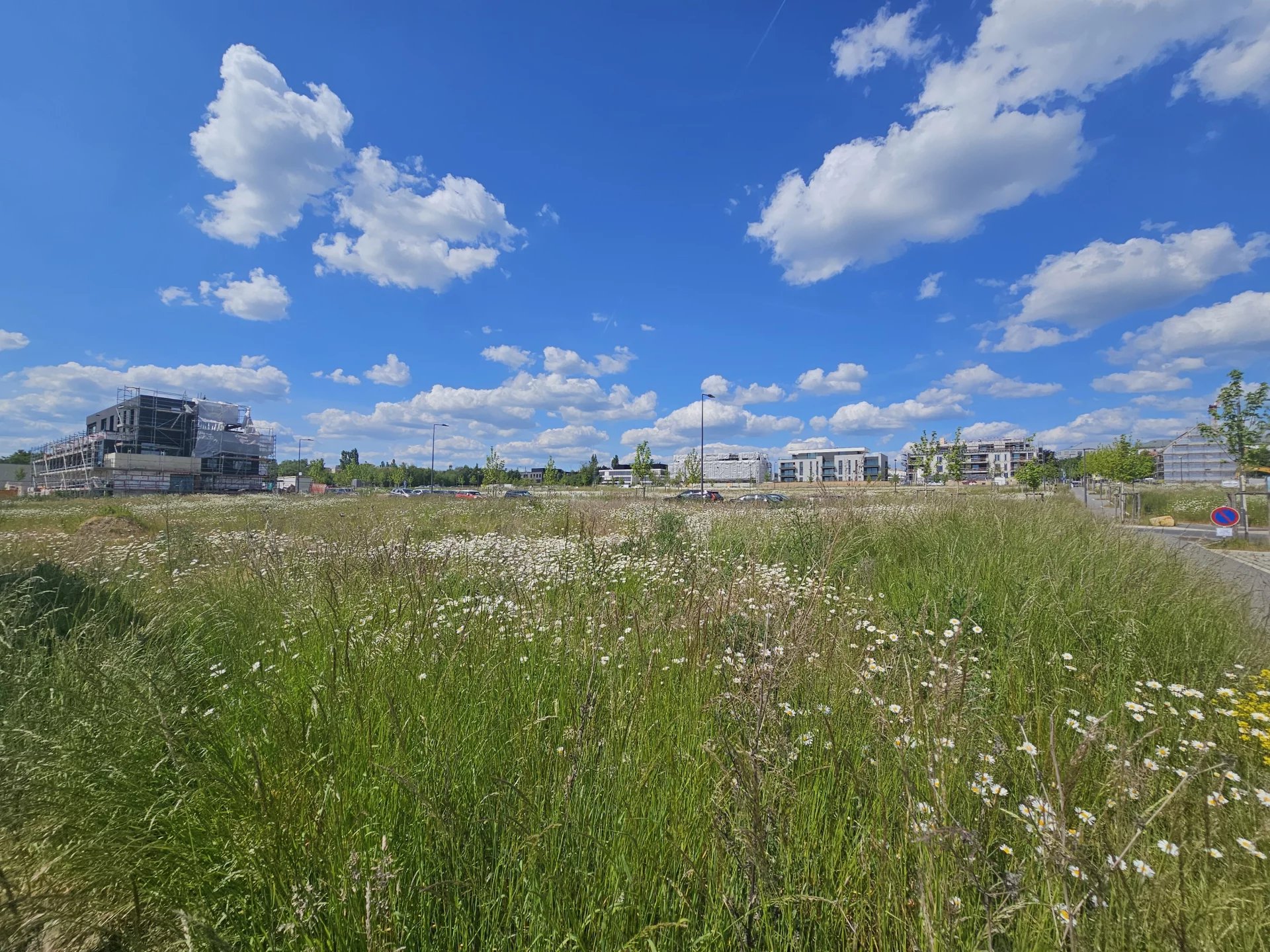 Agence immobilière de SOS Immo Sarl