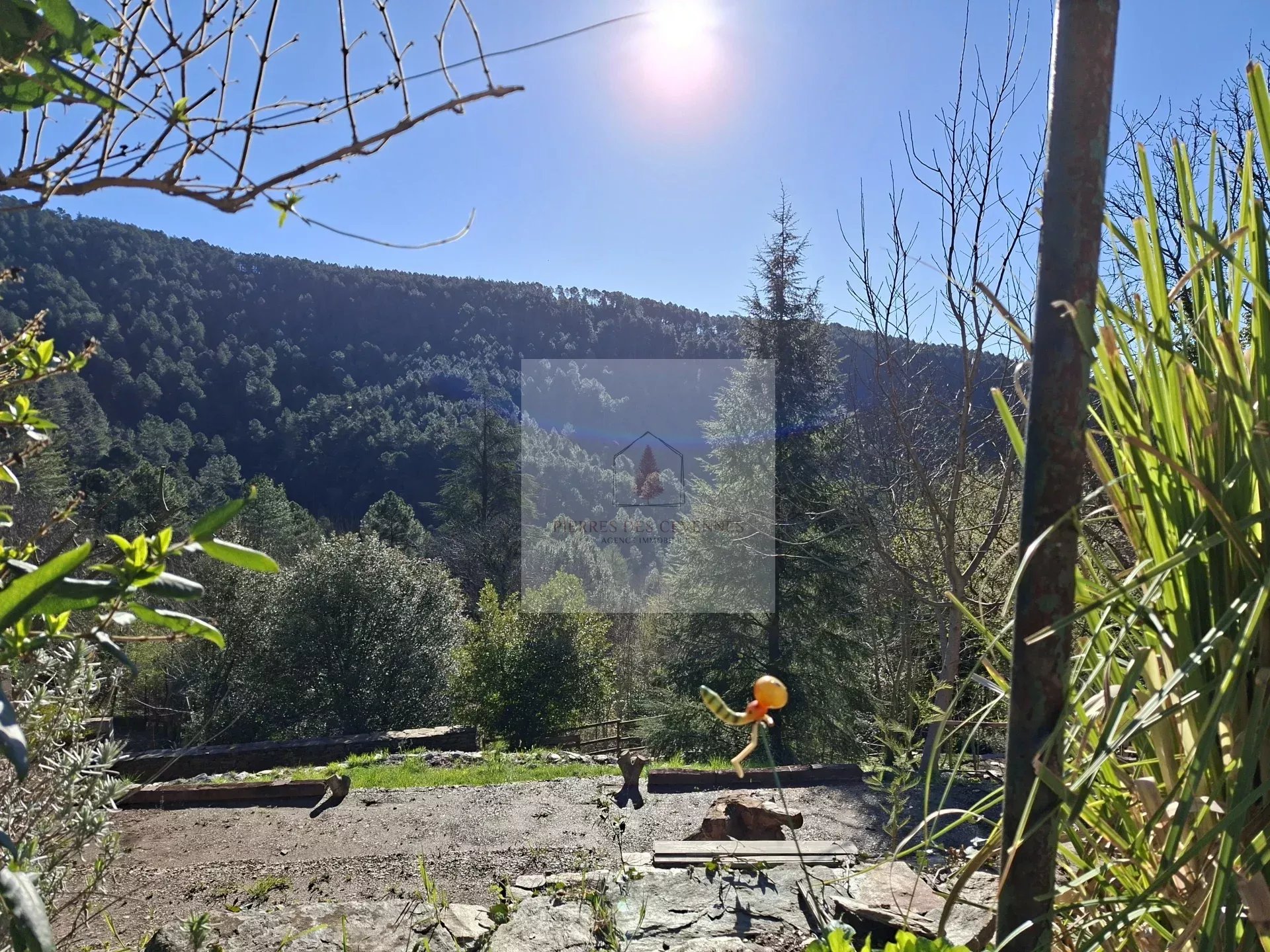 Agence immobilière de Pierres Des Cevennes