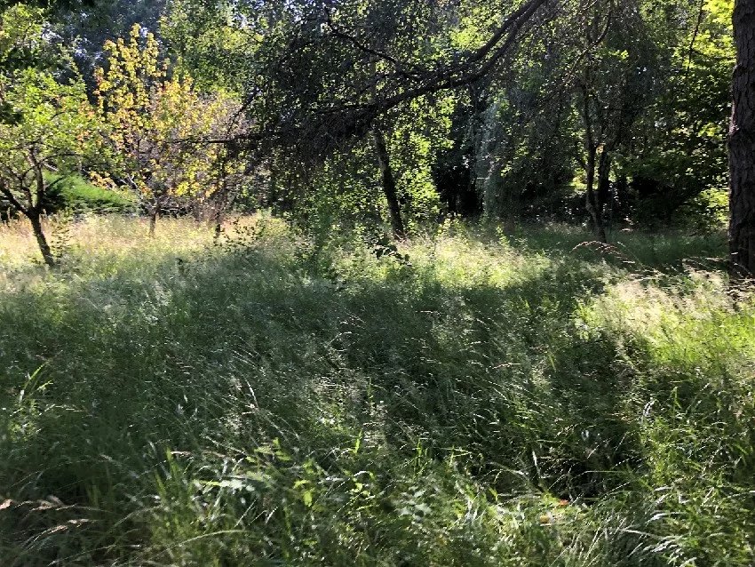 Vente Terrain Montrem