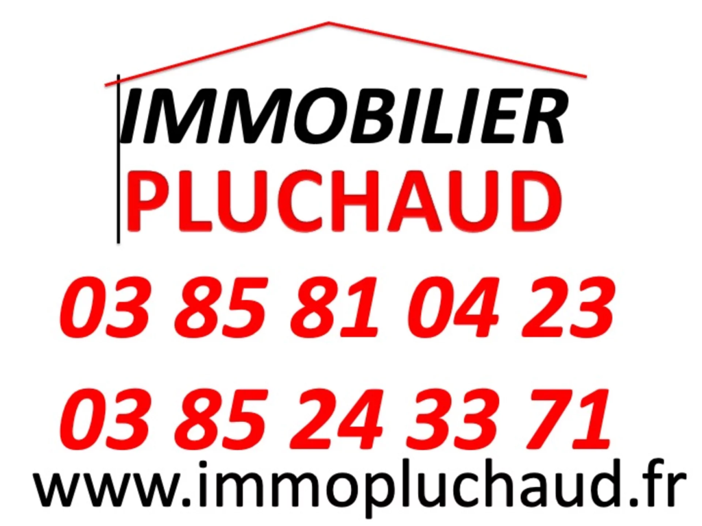 AGENCE IMMOBILIERE PHILIPPE PLUCHAUD