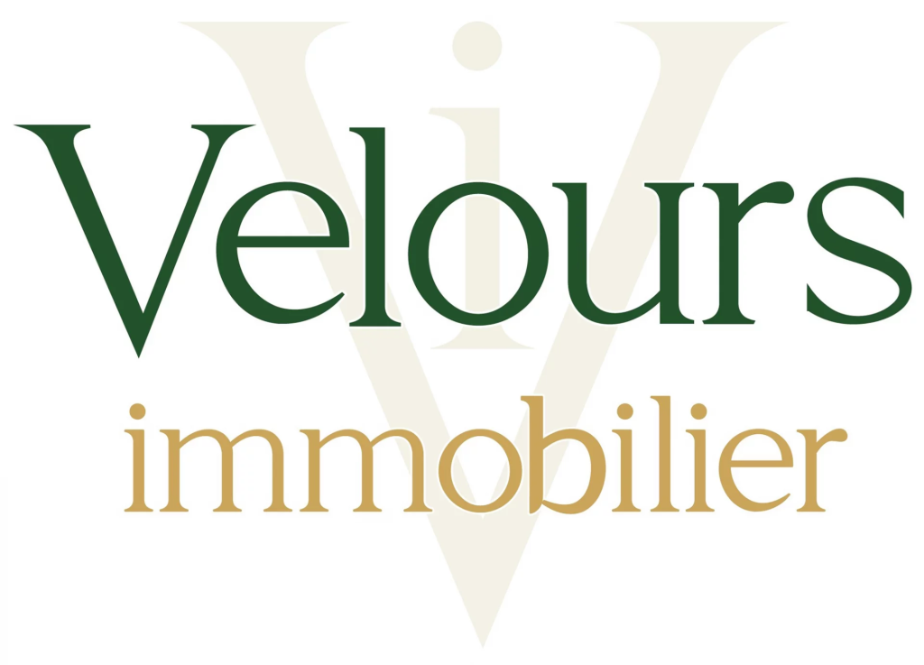 VELOURS immobilier