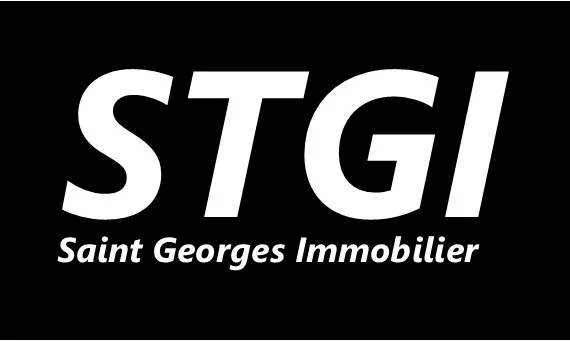 Logo de l'agence Saint Georges Immobilier