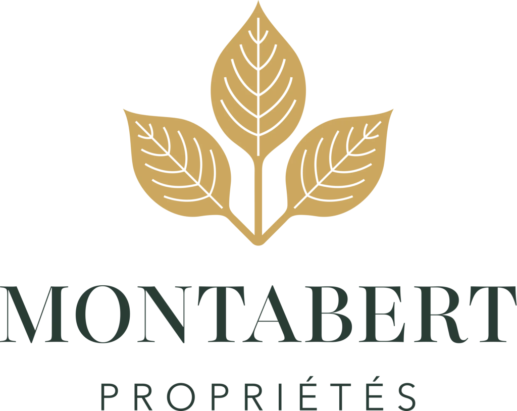 Montabert Propriétés
