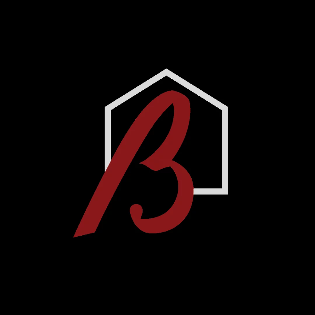 AGENCE IMMOBILIERE BAUMANN