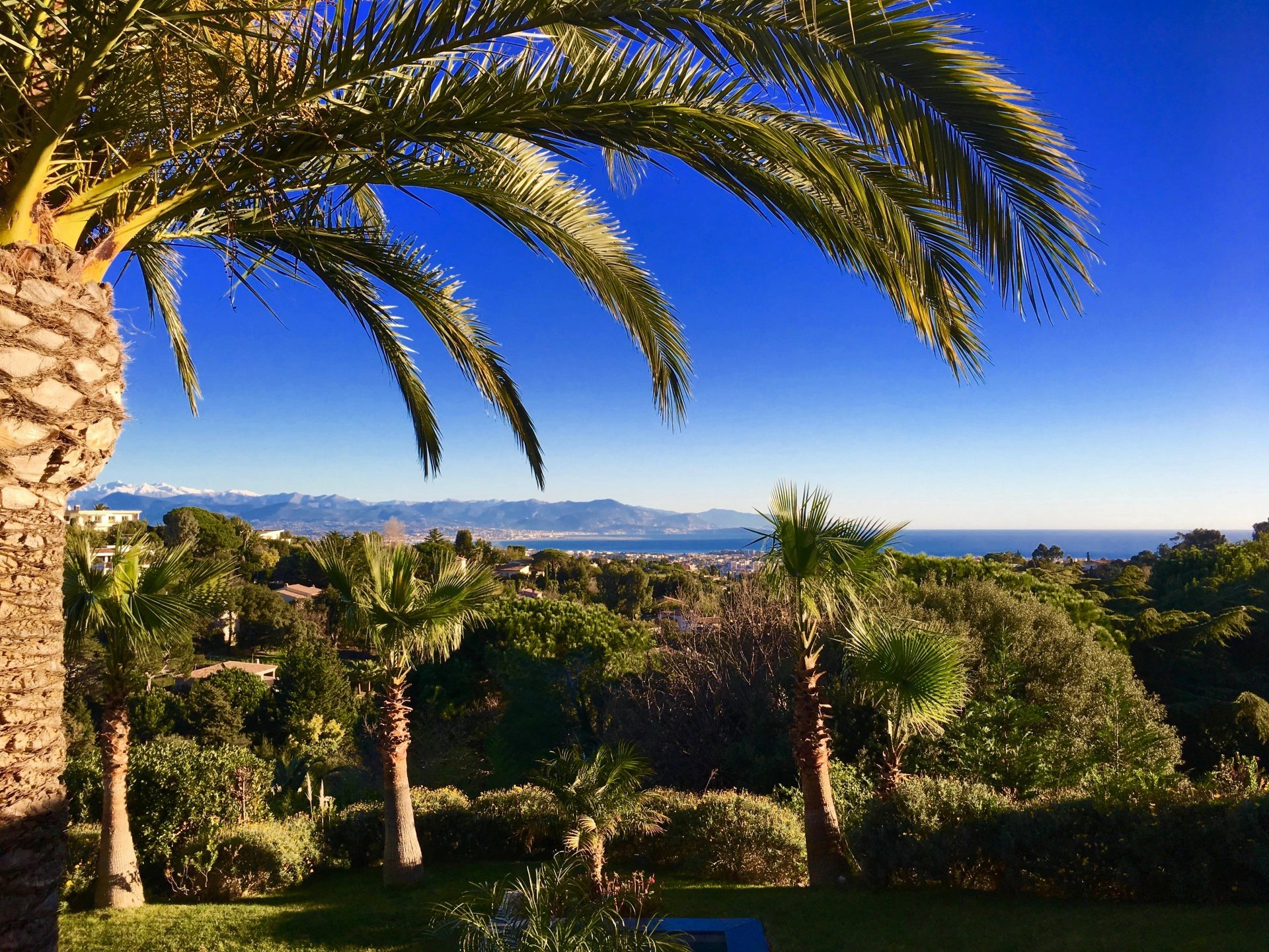 CALIFORNIE - PALM TREES, SEA AND SNOW-CAPPED MOUNTAINS