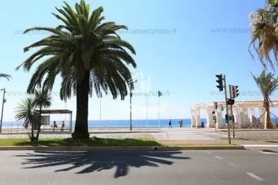 Apartment near to the Sea/Promenade des Anglais