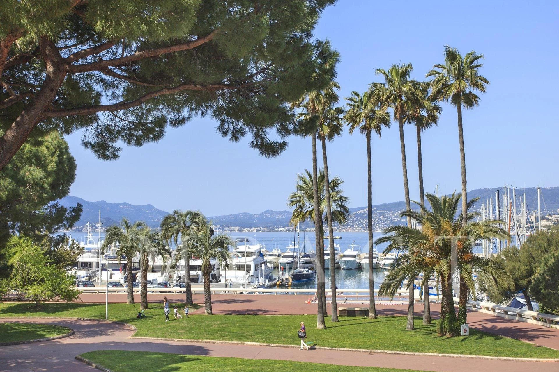 Cannes Croisette Appartement à louer vue mer