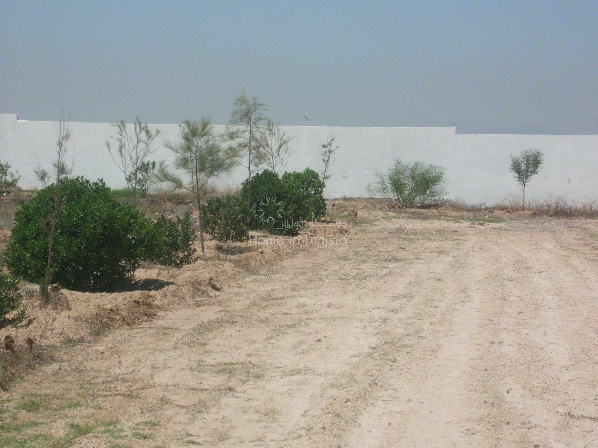 Sale Plot of land - Hergla - Tunisia