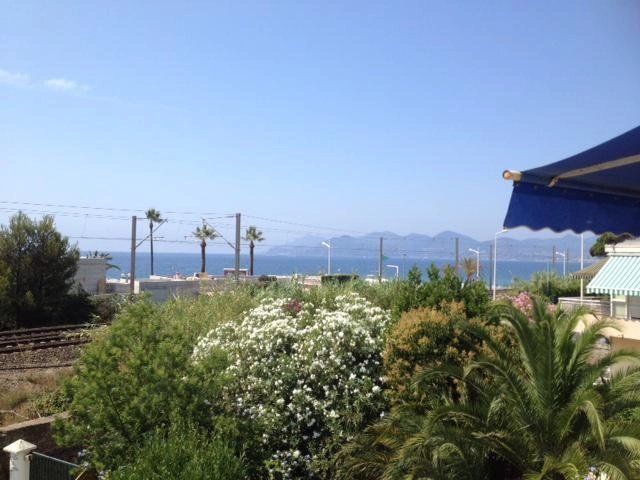 Seasonal rental Apartment Cannes