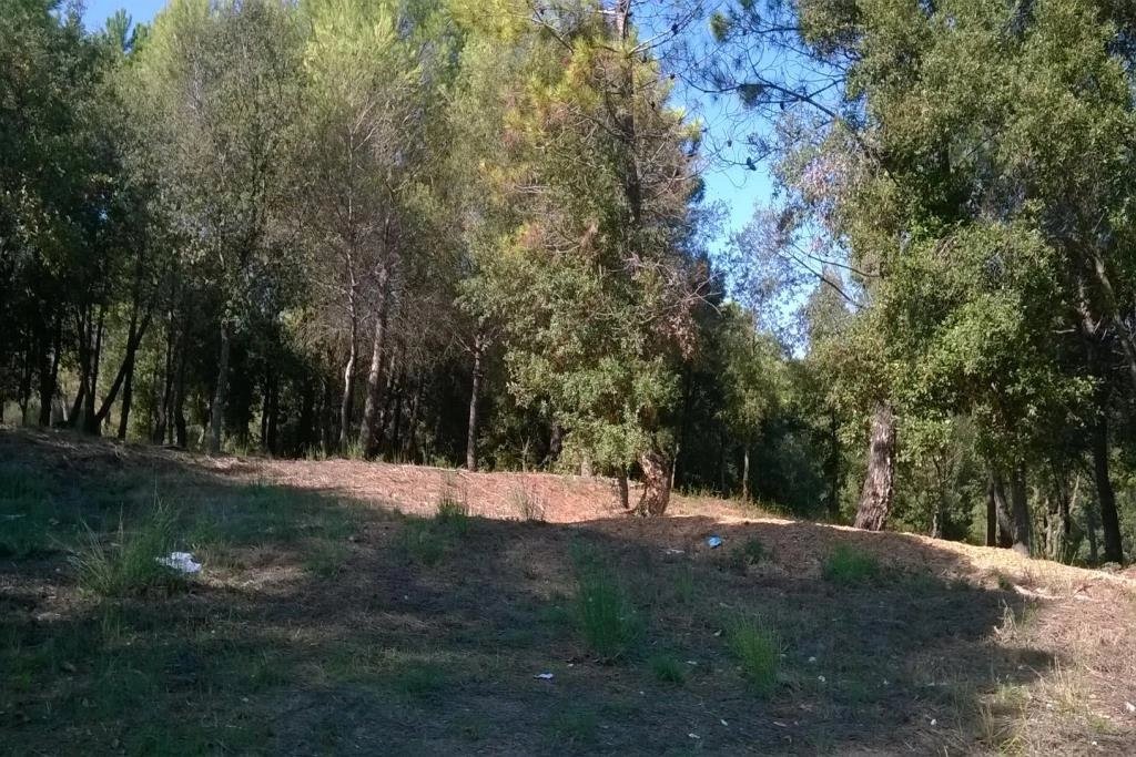 Vendita Terreno non edificabile - Biot Bois Fleuri