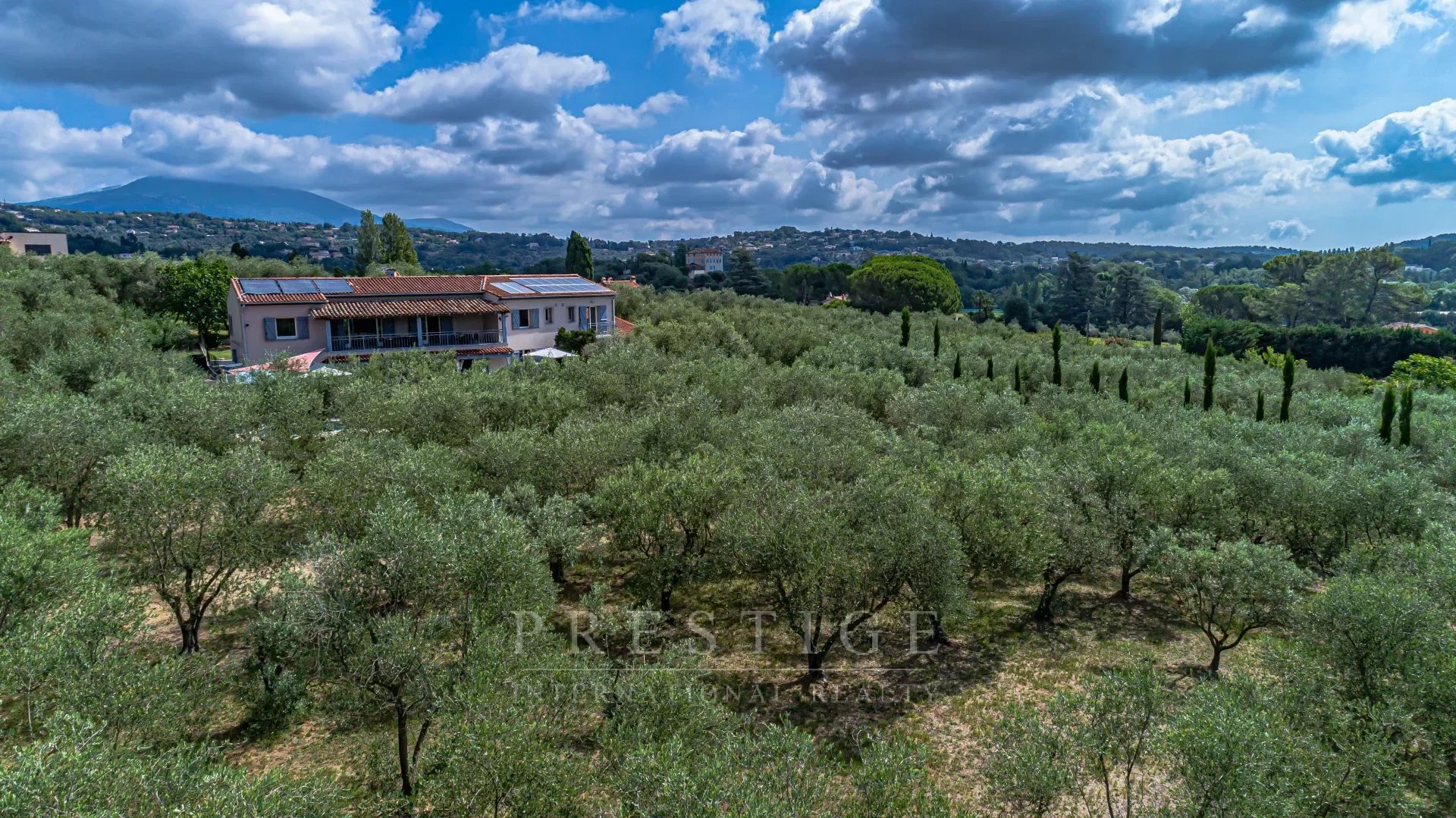Proche Valbonne, villa contemporaine au coeur d'une oliveraie