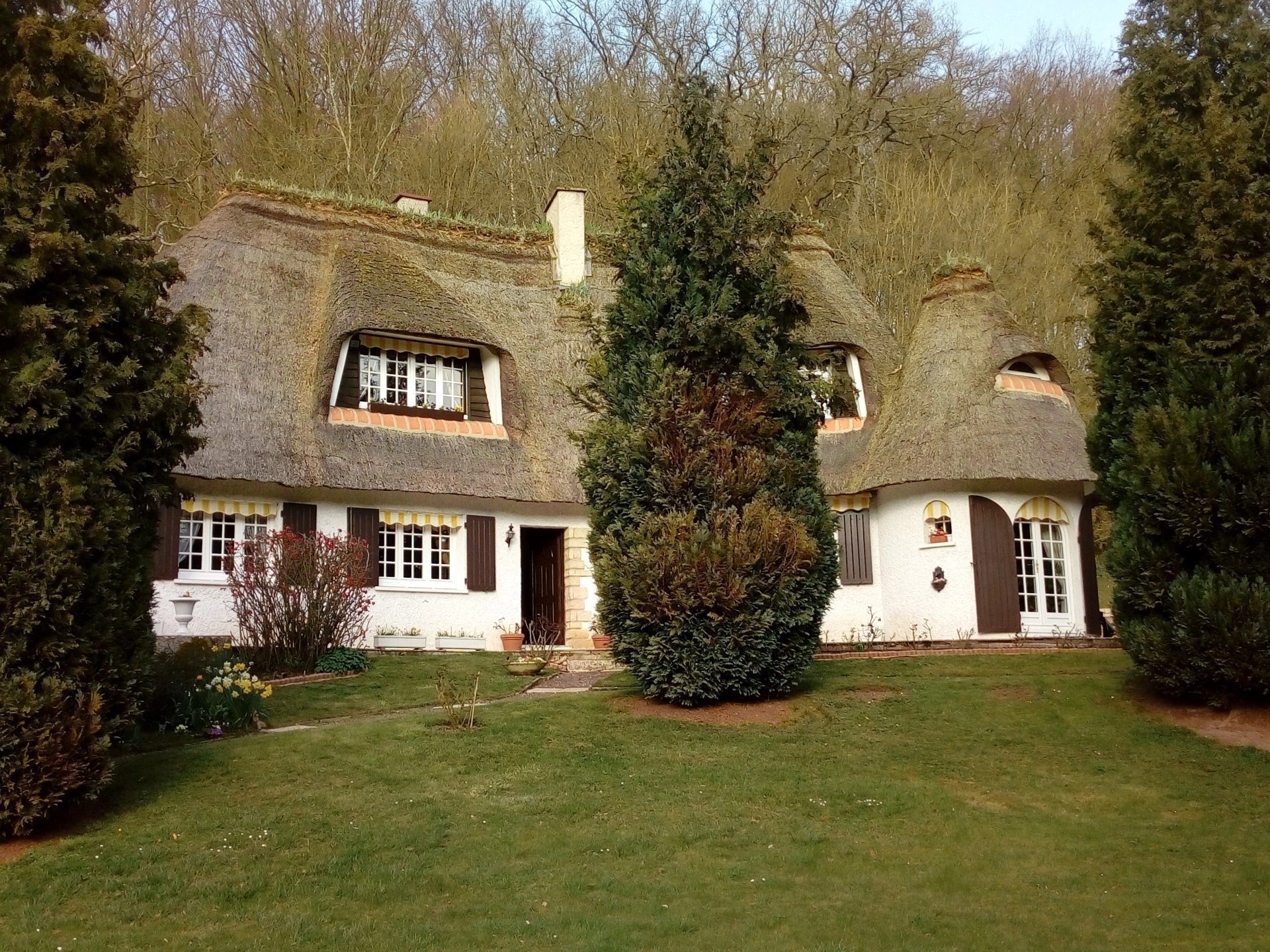 Exceptional 3 bedroom Thatched-Roof house in St Cyr la Campagne de Pasquier ( Normandy)