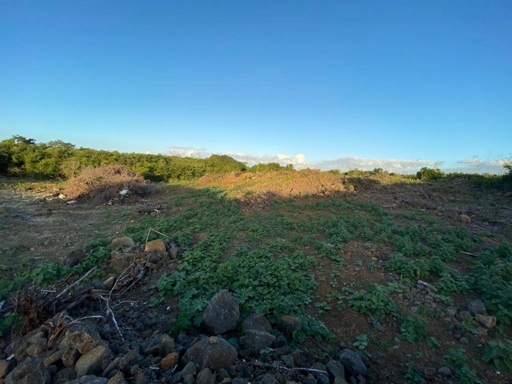 Residential Land in Pereybere