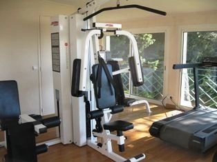 Exercise room Natural light Fireplace Wooden floor
