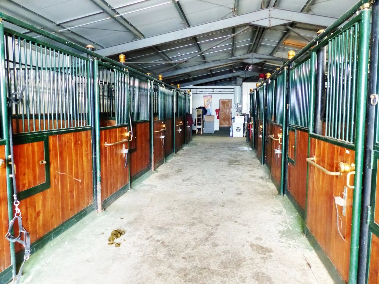 Equestrian property on 53 hectares