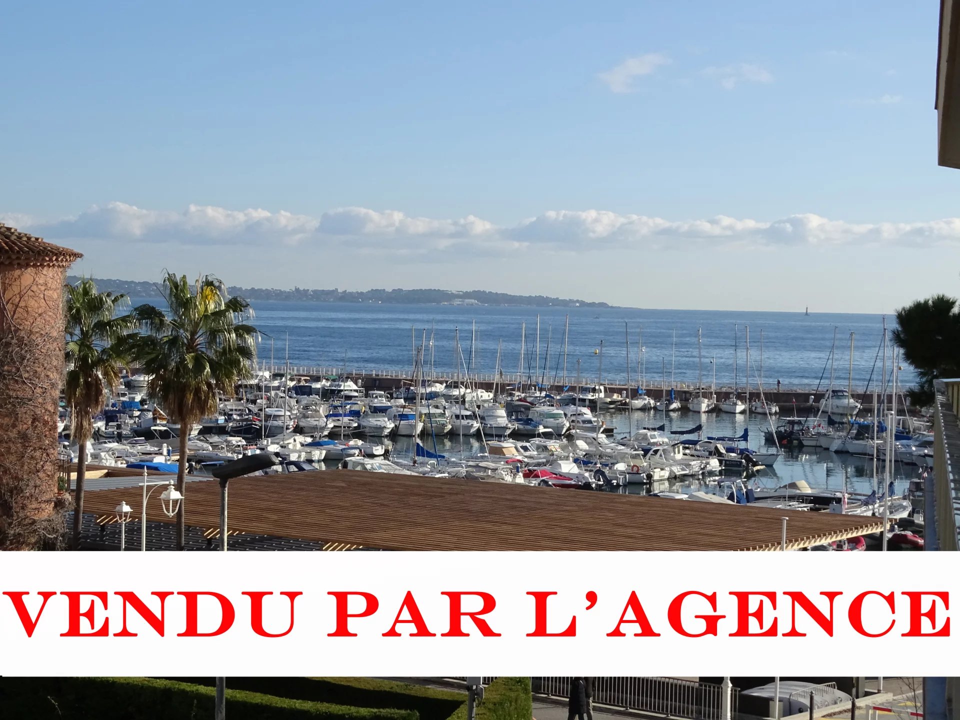 Studio Cannes Palm Beach vue mer