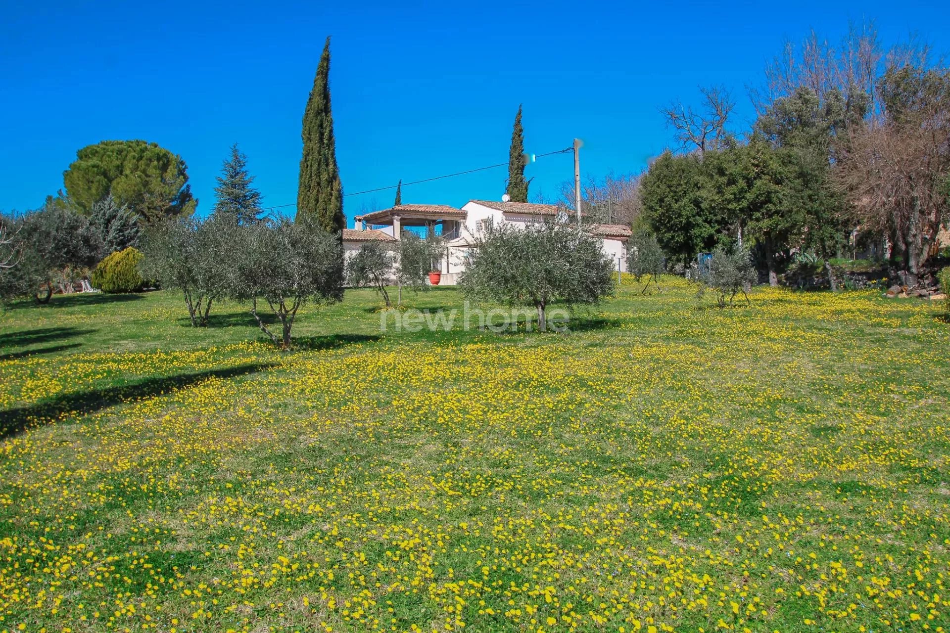 Modernes Anwesen inmitten der Olivenbäume