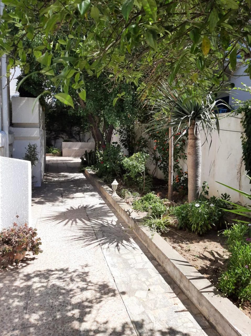 Vente Villa avec Jardin de  440 m² à La Marsa