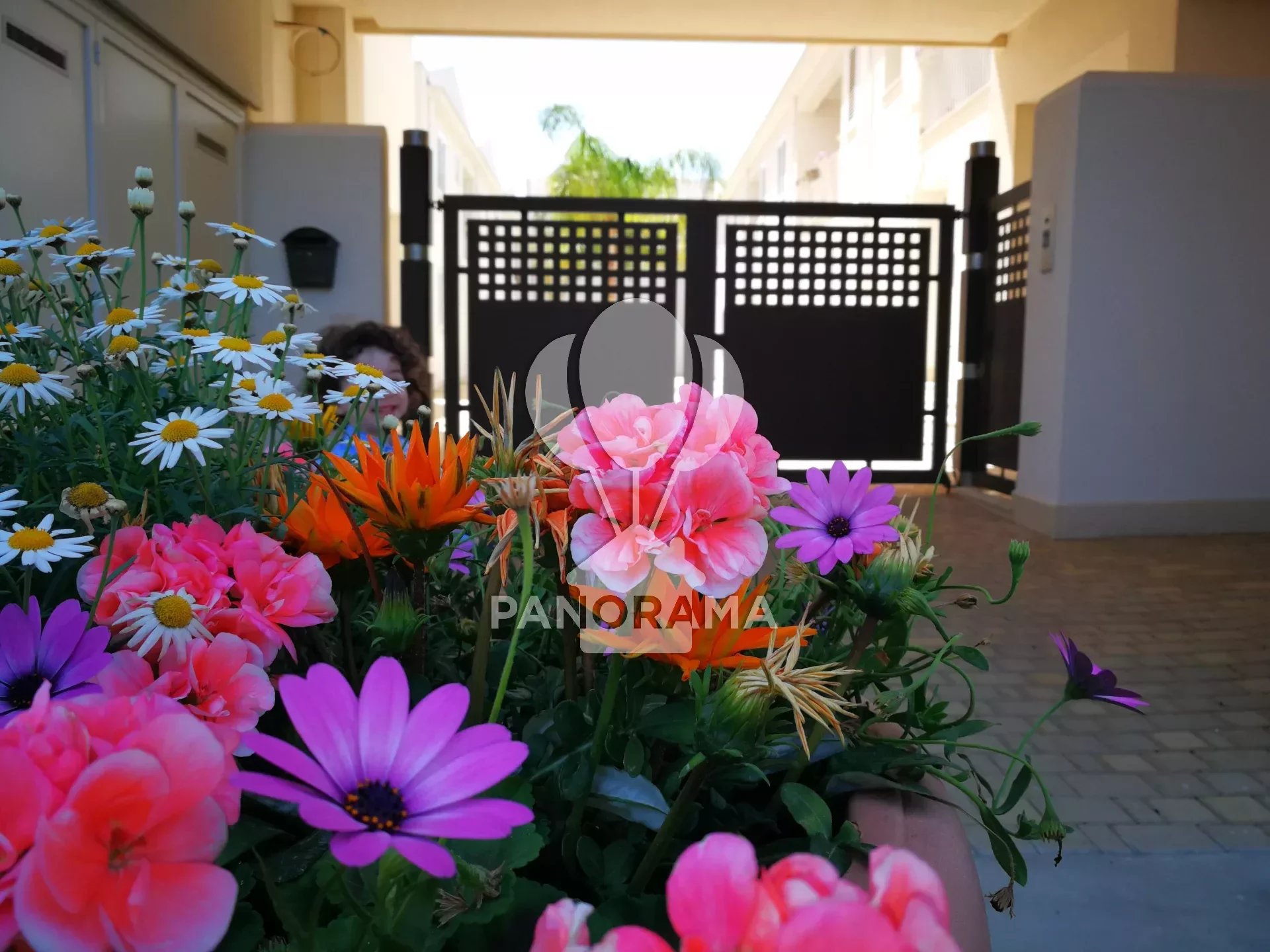 Sale Apartment Balestrate Balestrate-Foce