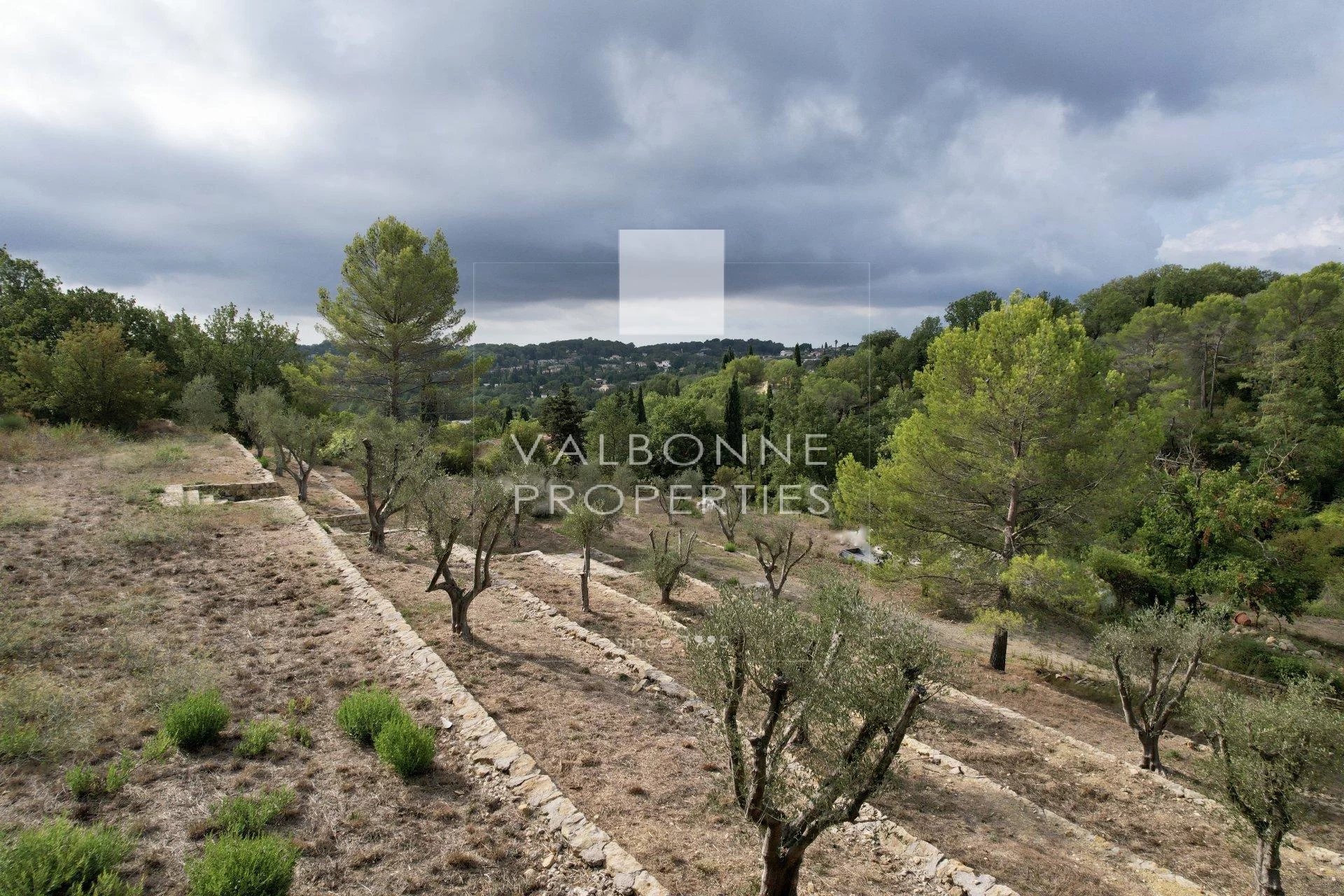 Superb 1 hectare plot within walking distance of the village