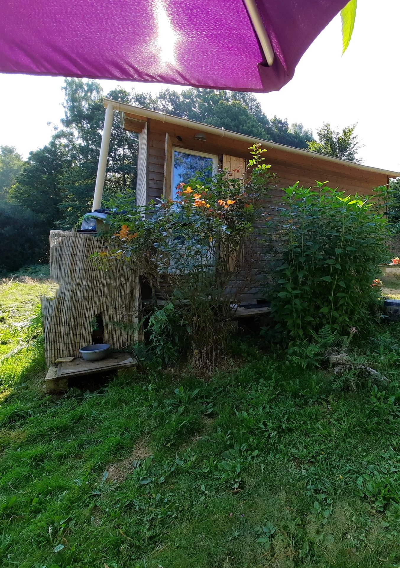 Between Tulle and Brive Tiny House in a secluded place