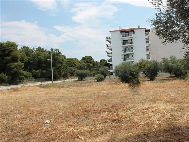 For sale Land 1400 sq.meters in Eastern Peloponnese . The territory has water supply, electricity supply, with building permission to 1680 sq.meters.. .