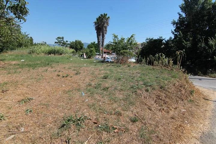 For sale Land 40000 sq.meters on the island of Corfu. The territory has water supply, electricity supply, with building permission to 2000 sq.meters.. .