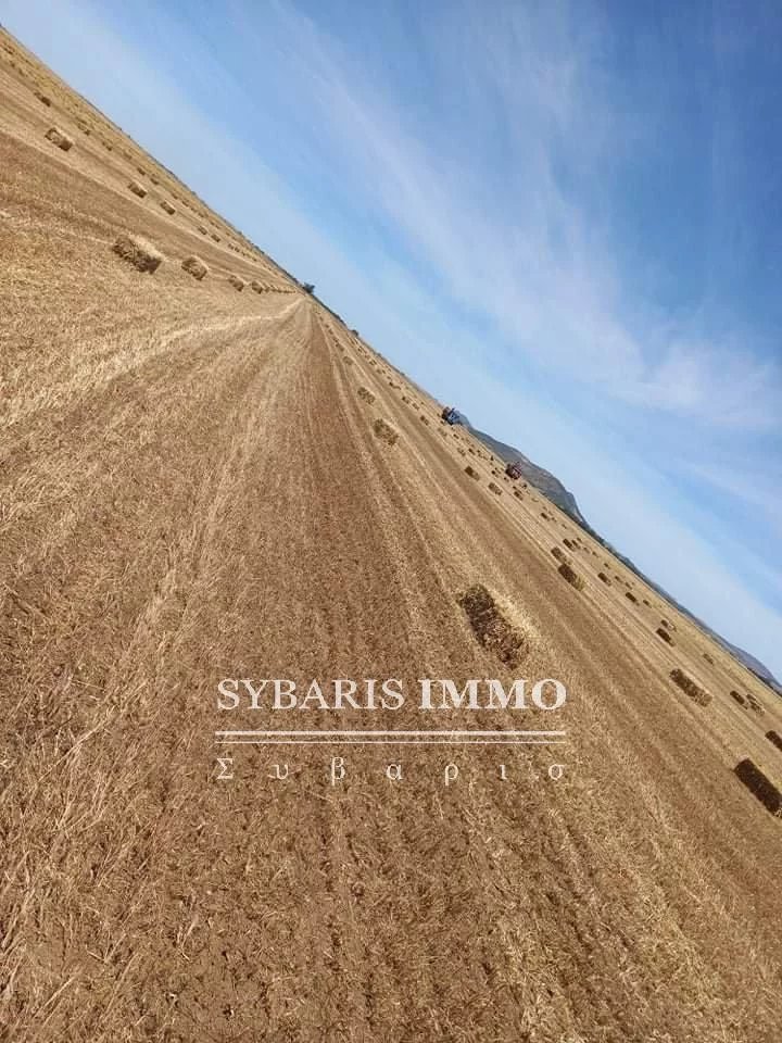 Vente Exploitation agricole - Zaghouan - Tunisie