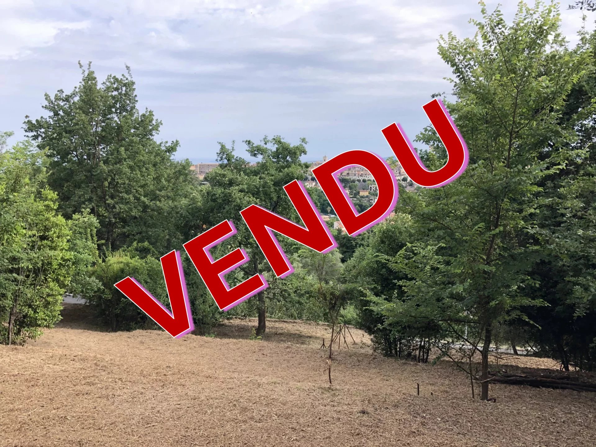 Vente Terrain constructible Vence