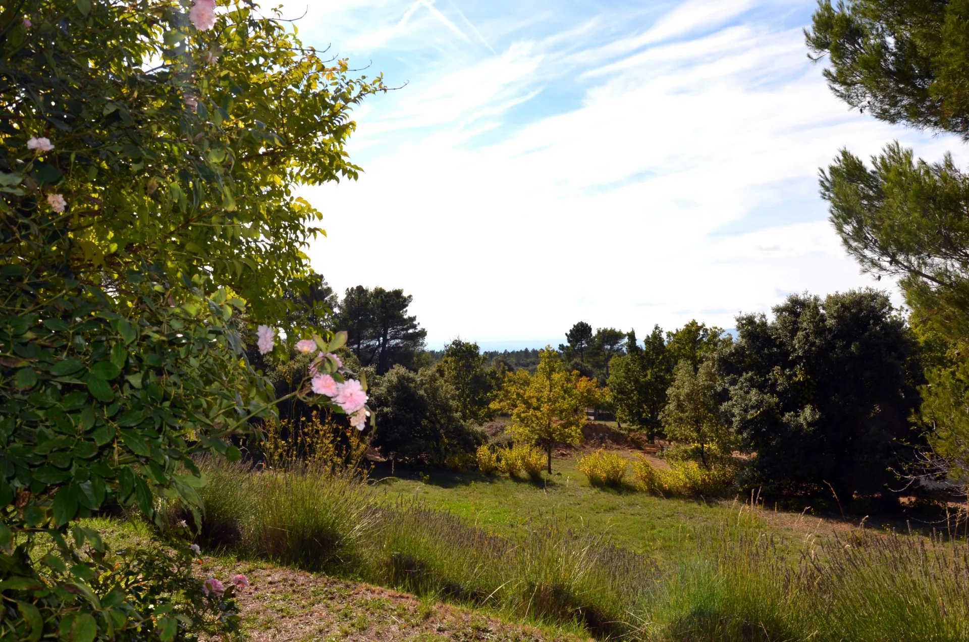 Magnifique Villa Provençale 5 chambres
