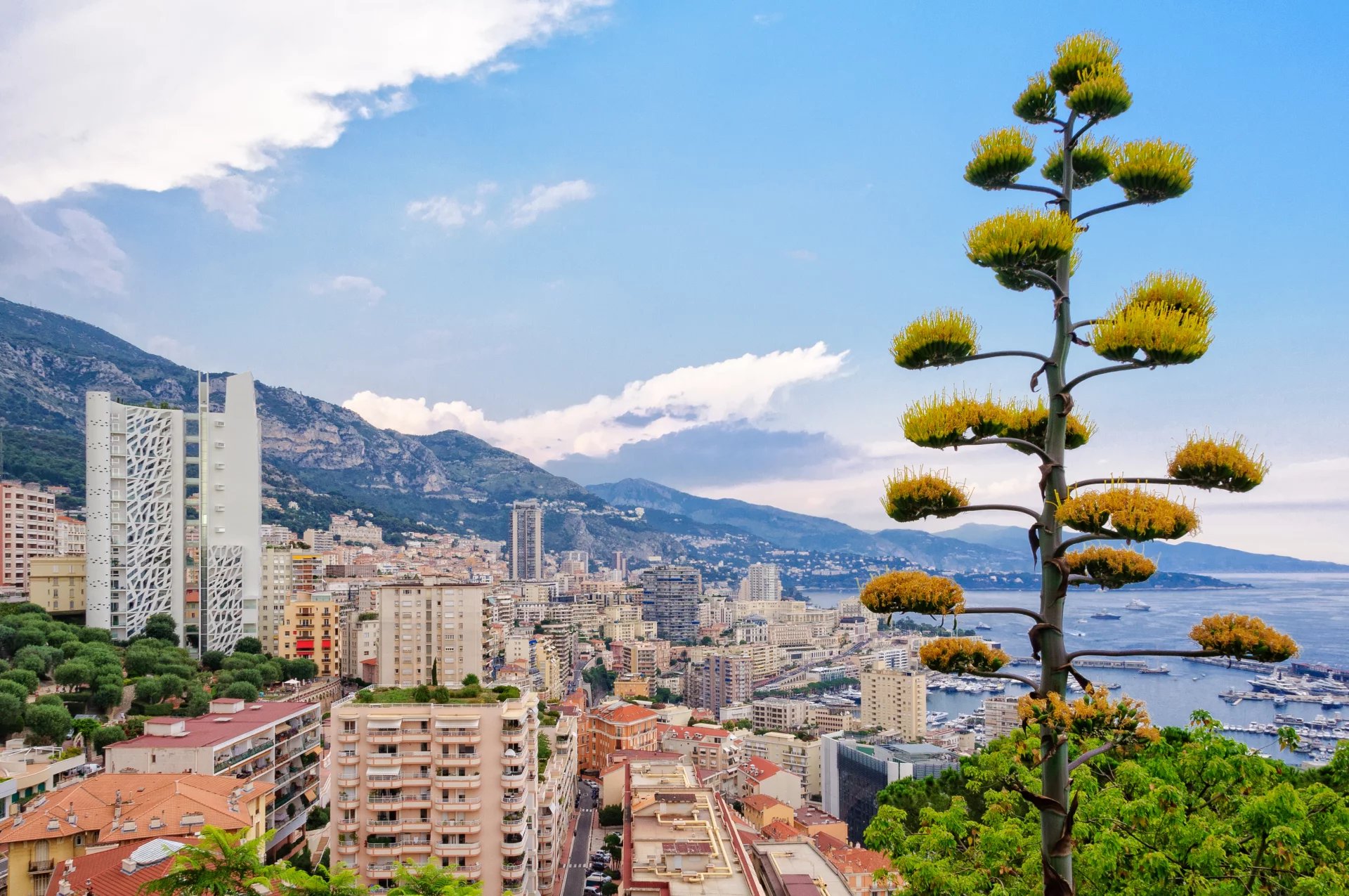 Appartement unique, avec vue panoramique sur la marmitonne et Monaco.