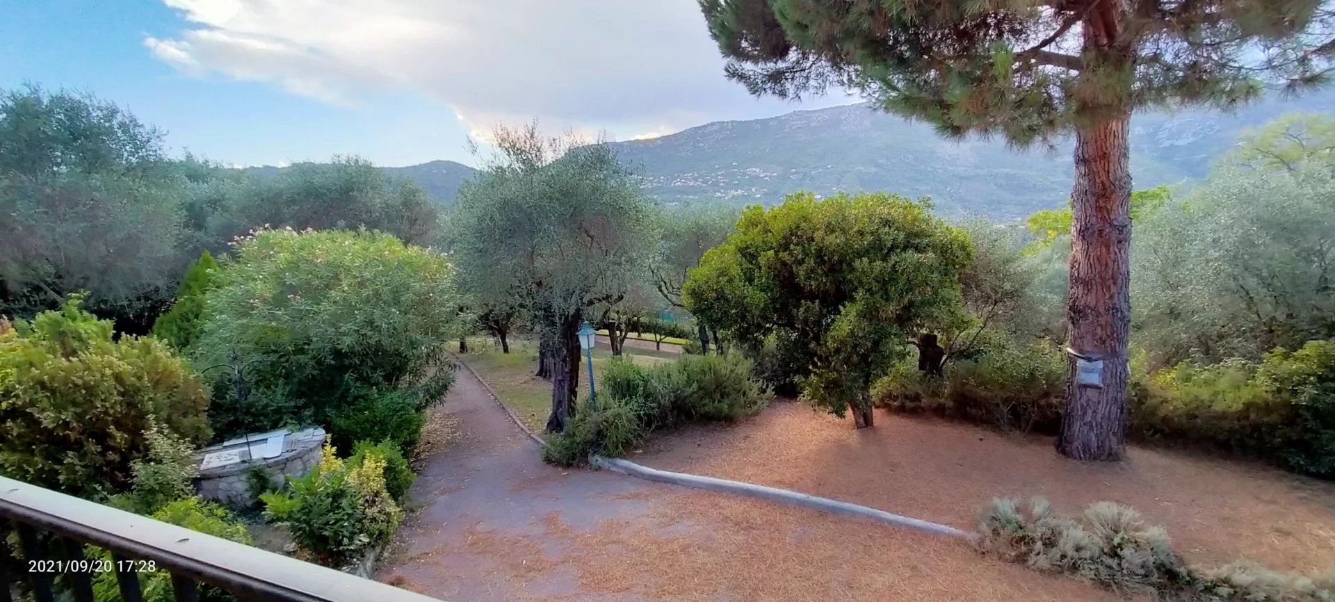 Beautiful provencal house 5p in an olive grove of 4100m2