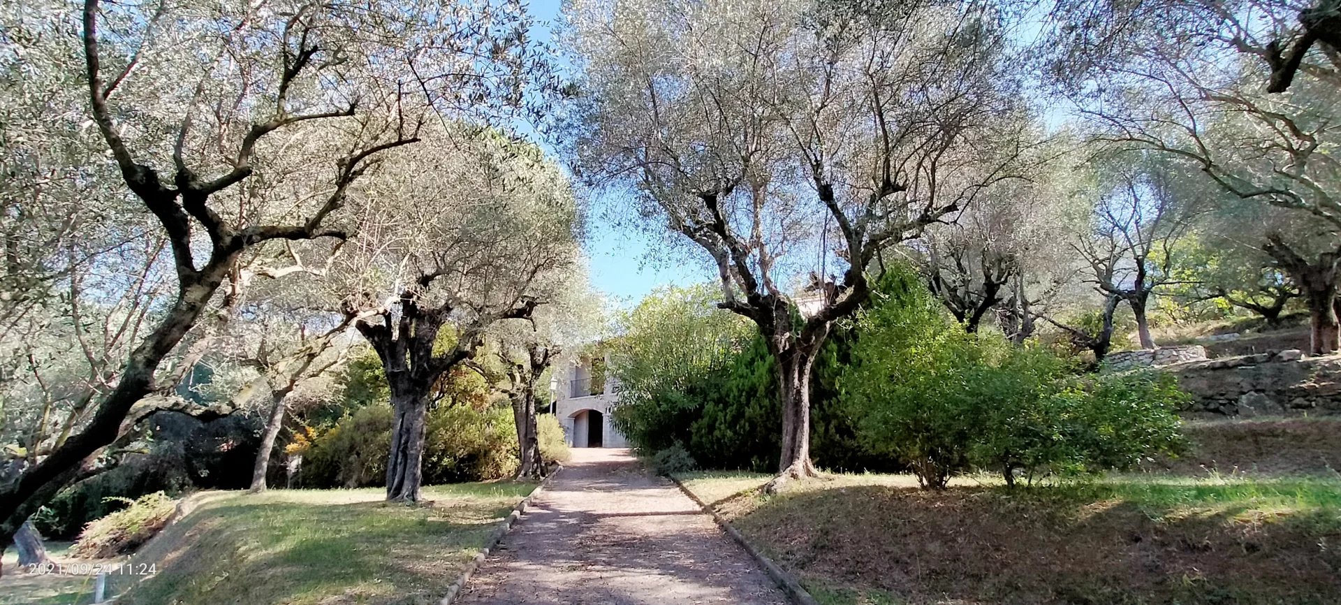 Beautiful provencal house 5p in an olive grove of 4100m2