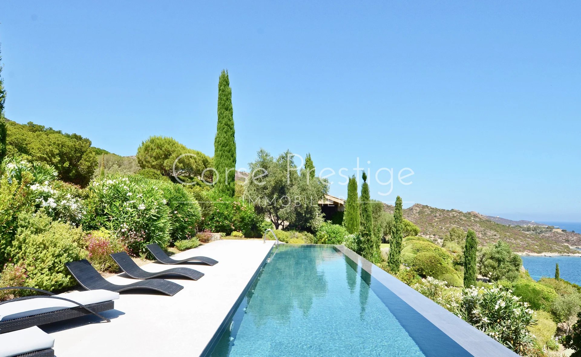 villa for rent in saint florent - dierct access to the sea image1
