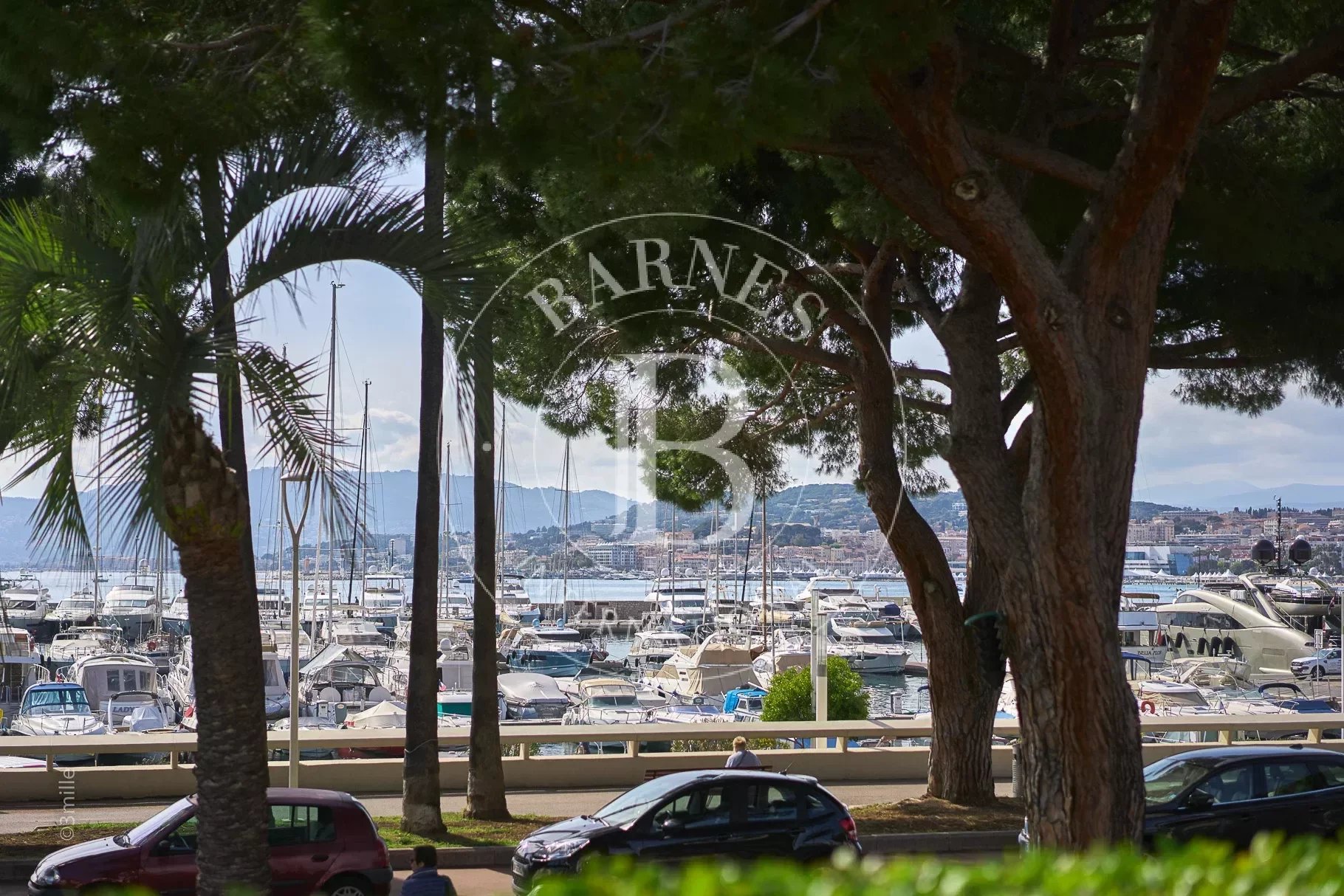 Villa Cannes - picture 3 title=